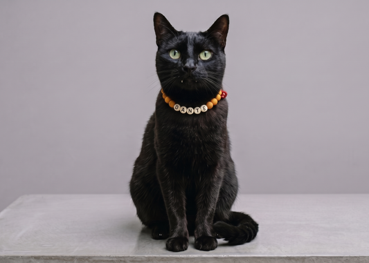 Collar TROUW