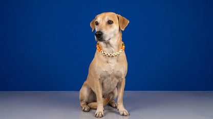 Collar TROUW Multicolor