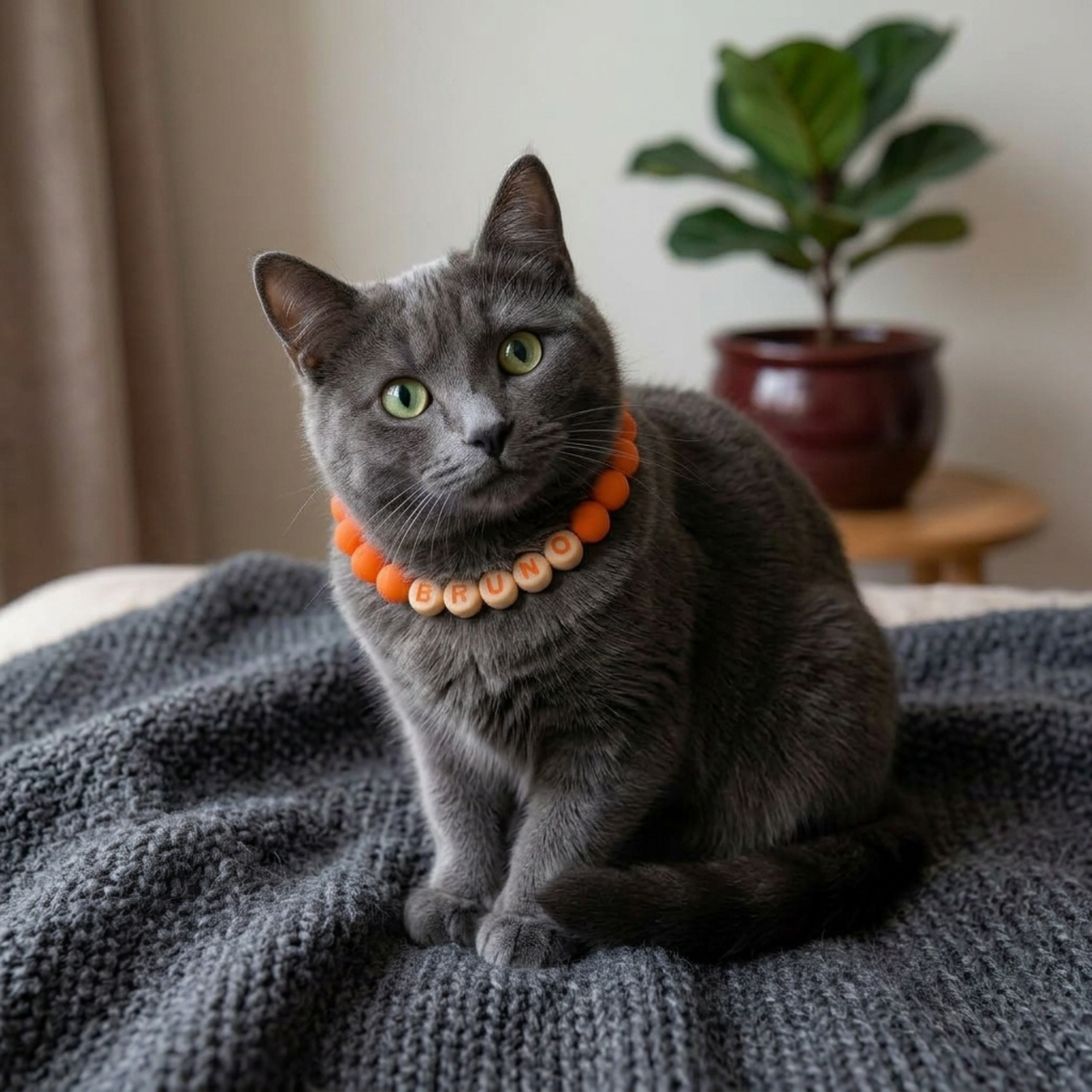 Collar TROUW para gato color Ámbar (naranja)