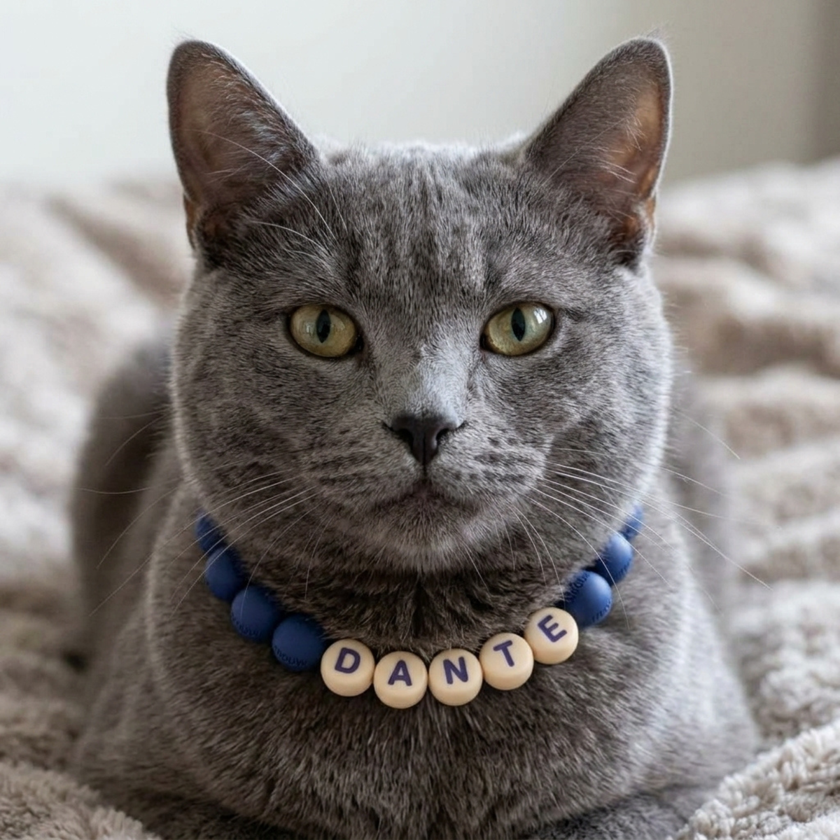 Collar TROUW para gato color Marea (azul)