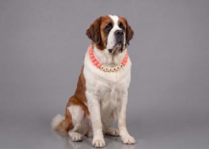 Collar TROUW