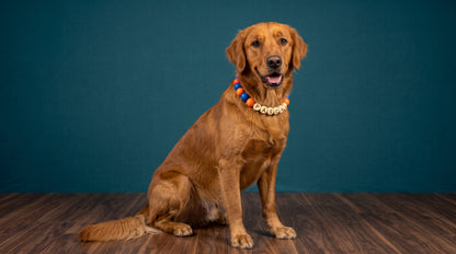 Collar TROUW Multicolor
