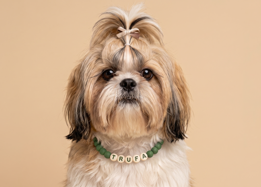 Collar TROUW