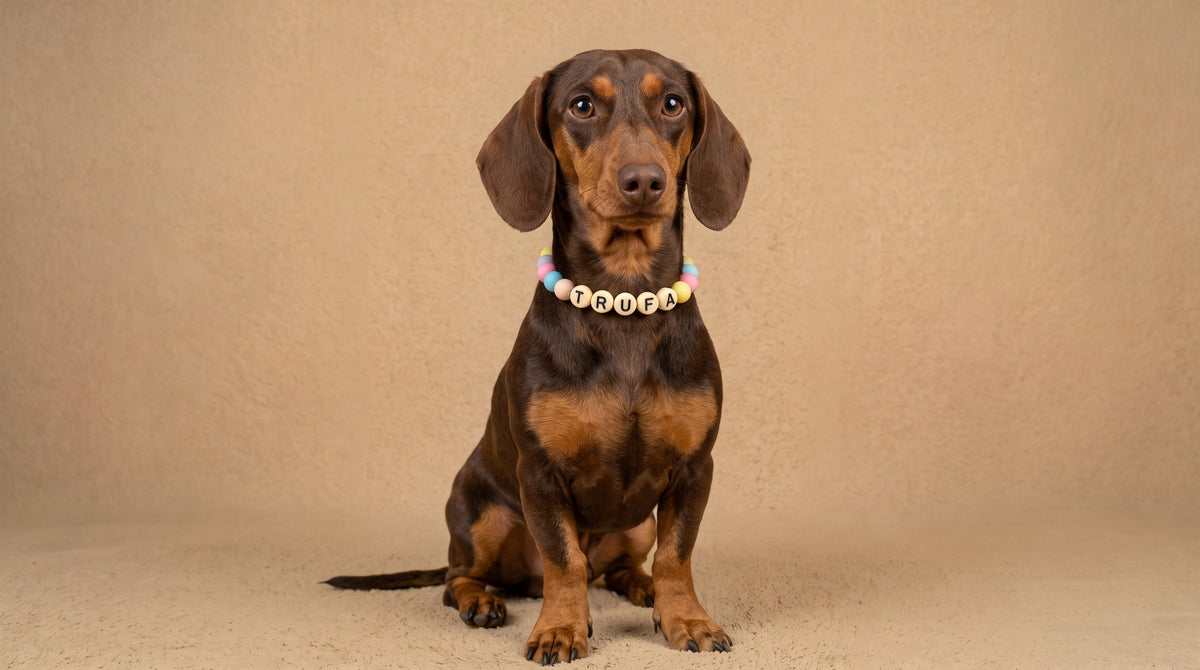 Collar TROUW Multicolor