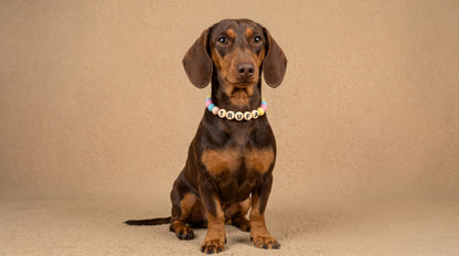 Collar TROUW Multicolor