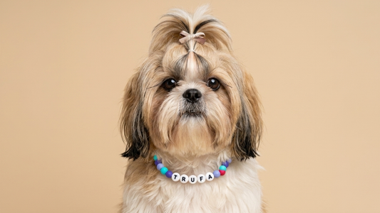 Collar TROUW Multicolor